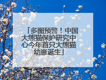 多图预警！中国大熊猫保护研究中心今年首只大熊猫幼崽诞生