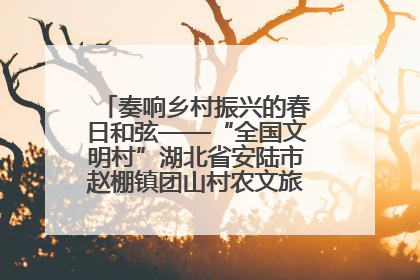 奏响乡村振兴的春日和弦——“全国文明村”湖北省安陆市赵棚镇团山村农文旅融合发展见闻