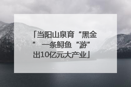 当阳山泉育“黑金” 一条鲟鱼“游”出10亿元大产业