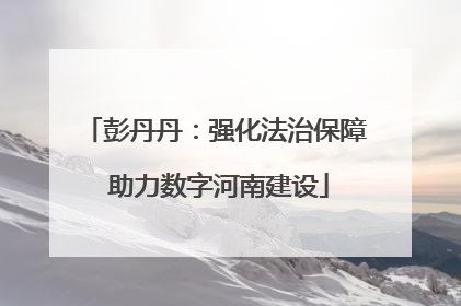 彭丹丹：强化法治保障 助力数字河南建设