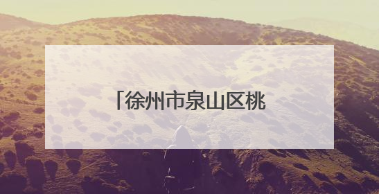 徐州市泉山区桃园街道：以协商民主赋能基层治理