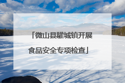 微山县驩城镇开展食品安全专项检查