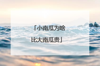 小南瓜为啥比大南瓜贵