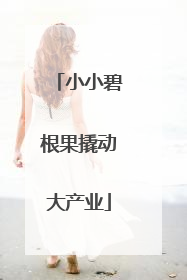 小小碧根果撬动大产业