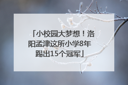 小校园大梦想！洛阳孟津这所小学8年踢出15个冠军