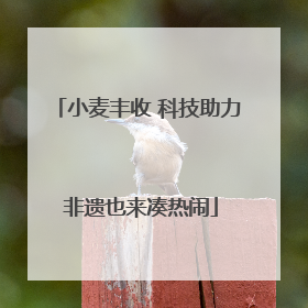 小麦丰收 科技助力 非遗也来凑热闹