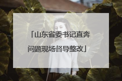 山东省委书记直奔问题现场督导整改