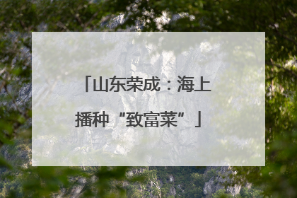 山东荣成：海上播种“致富菜”