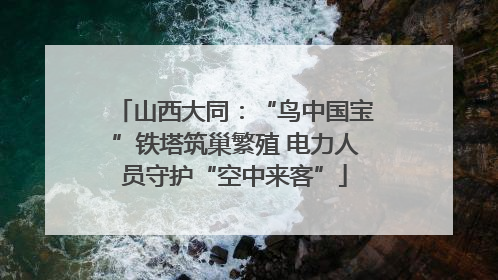 山西大同：“鸟中国宝”铁塔筑巢繁殖 电力人员守护“空中来客”