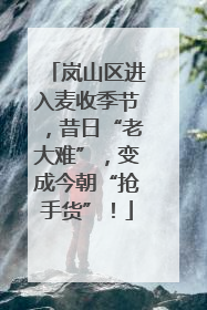 岚山区进入麦收季节，昔日“老大难”，变成今朝“抢手货”！