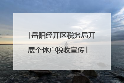 岳阳经开区税务局开展个体户税收宣传