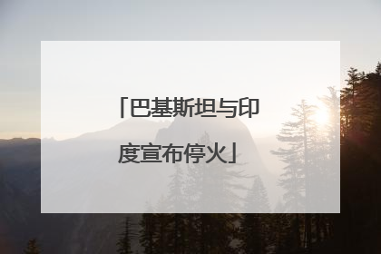 巴基斯坦与印度宣布停火