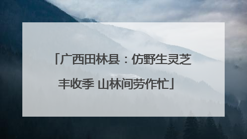 广西田林县：仿野生灵芝丰收季 山林间劳作忙