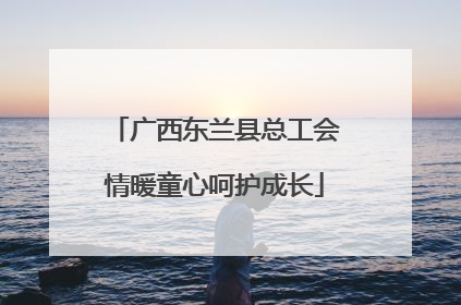 广西东兰县总工会情暖童心呵护成长