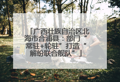 广西壮族自治区北海市合浦县：部门“常驻+轮驻”打造“解纷联合舰队”