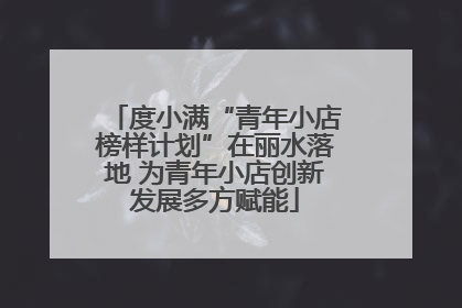 度小满“青年小店榜样计划”在丽水落地 为青年小店创新发展多方赋能