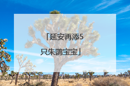 延安再添5只朱鹮宝宝