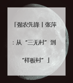 强农先锋丨张萍：从“三无村”到“样板村”