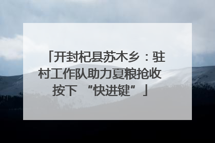 开封杞县苏木乡：驻村工作队助力夏粮抢收按下 “快进键”