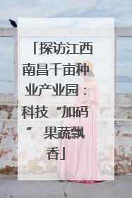 探访江西南昌千亩种业产业园：科技“加码” 果蔬飘香
