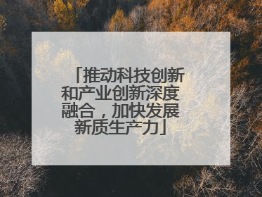 推动科技创新和产业创新深度融合，加快发展新质生产力