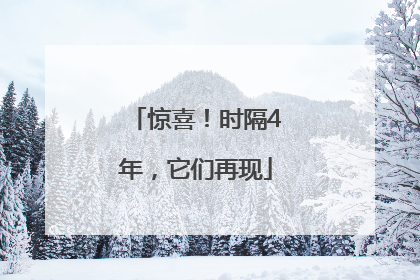 惊喜！时隔4年，它们再现