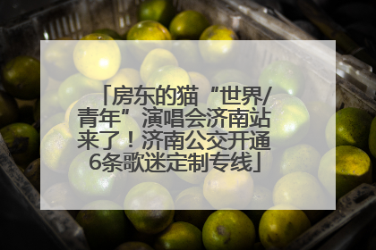 房东的猫“世界/青年”演唱会济南站来了！济南公交开通6条歌迷定制专线