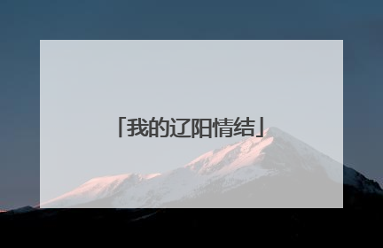 我的辽阳情结