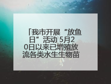 我市开展“放鱼日”活动 5月20日以来已增殖放流各类水生生物苗种5.1亿单位
