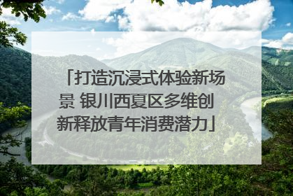 打造沉浸式体验新场景 银川西夏区多维创新释放青年消费潜力