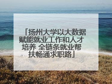 扬州大学以大数据赋能就业工作和人才培养 全链条就业帮扶畅通求职路