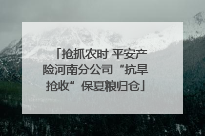 抢抓农时 平安产险河南分公司“抗旱抢收”保夏粮归仓