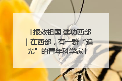 报效祖国 建功西部｜在西部，有一群“追光”的青年科学家