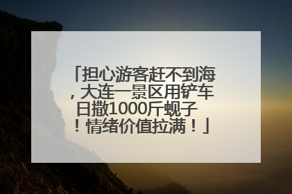 担心游客赶不到海，大连一景区用铲车日撒1000斤蚬子！情绪价值拉满！