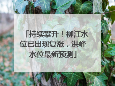持续攀升！柳江水位已出现复涨，洪峰水位最新预测