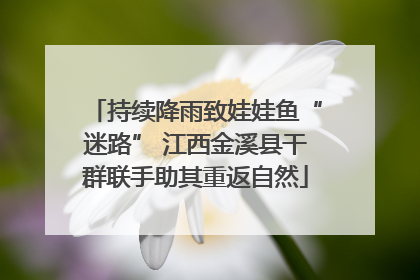 持续降雨致娃娃鱼“迷路” 江西金溪县干群联手助其重返自然