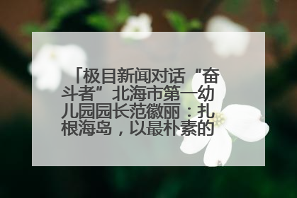 极目新闻对话“奋斗者”北海市第一幼儿园园长范徽丽：扎根海岛，以最朴素的爱践行教育的梦想