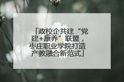 政校企共建“党建+康养”联盟，枣庄职业学院打造产教融合新范式