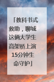 教科书式救助，聊城这俩大学生高架桥上演15分钟生命守护