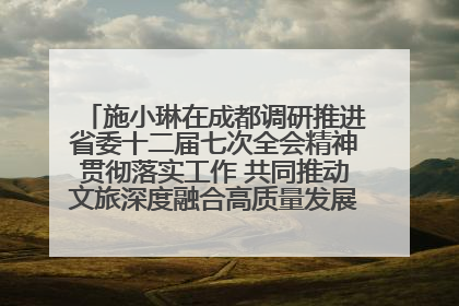 施小琳在成都调研推进省委十二届七次全会精神贯彻落实工作 共同推动文旅深度融合高质量发展 加快打造支柱产业民生产业幸福产业