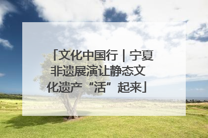 文化中国行｜宁夏 非遗展演让静态文化遗产“活”起来