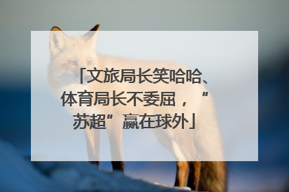 文旅局长笑哈哈、体育局长不委屈，“苏超”赢在球外