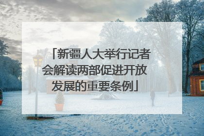 新疆人大举行记者会解读两部促进开放发展的重要条例