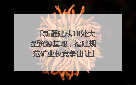 新疆建成18处大型资源基地，福建规范矿业权竞争出让