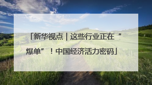 新华视点｜这些行业正在“爆单”！中国经济活力密码