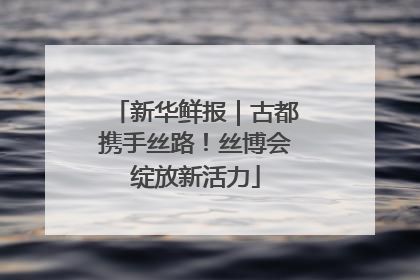 新华鲜报｜古都携手丝路！丝博会绽放新活力