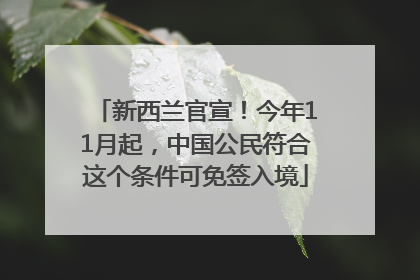 新西兰官宣！今年11月起，中国公民符合这个条件可免签入境