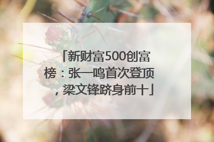新财富500创富榜：张一鸣首次登顶，梁文锋跻身前十