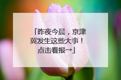 昨夜今晨，京津冀发生这些大事！点击看报→