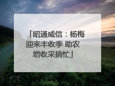 昭通威信：杨梅迎来丰收季 助农增收采摘忙